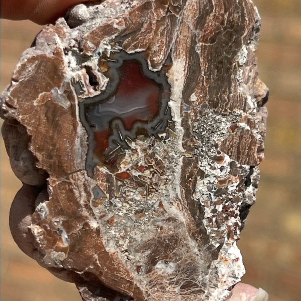 Beautiful Fortification Agate from Demming NM circa 1960